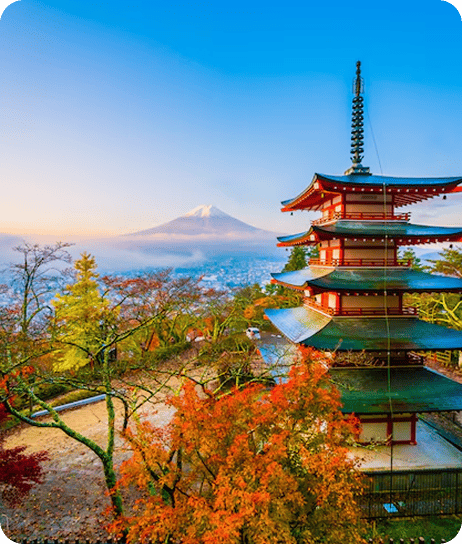 Tokyo & Mt. Fuji