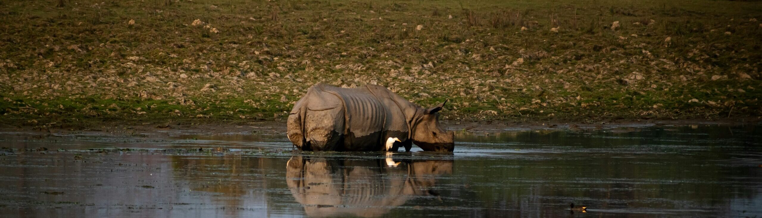 Meghalaya With Kaziranga